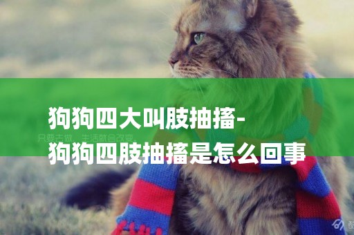 狗狗四大叫肢抽搐-
狗狗四肢抽搐是怎么回事