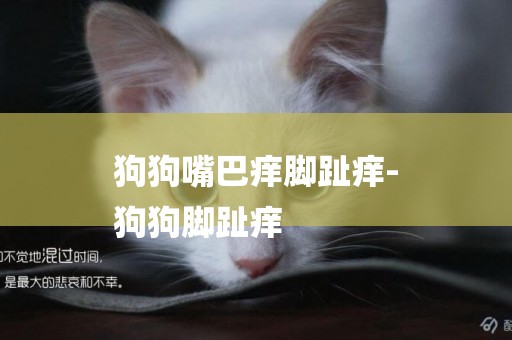 狗狗嘴巴癢腳趾癢-
狗狗腳趾癢