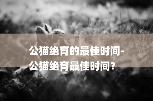 公貓絕育的最佳時間-
公貓絕育最佳時間？