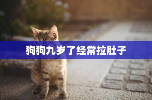 狗狗九歲了經常拉肚子