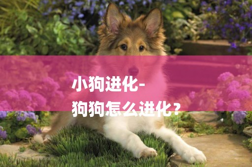 小狗進化-
狗狗怎么進化？