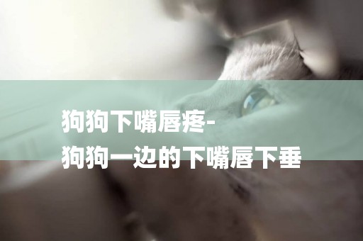 狗狗下嘴唇疼-
狗狗一邊的下嘴唇下垂