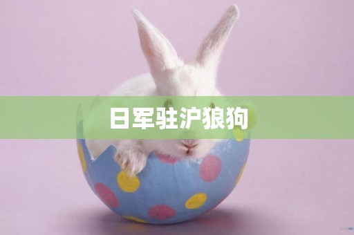 日軍駐滬狼狗