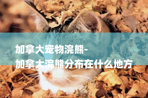 加拿大寵物浣熊-
加拿大浣熊分布在什么地方