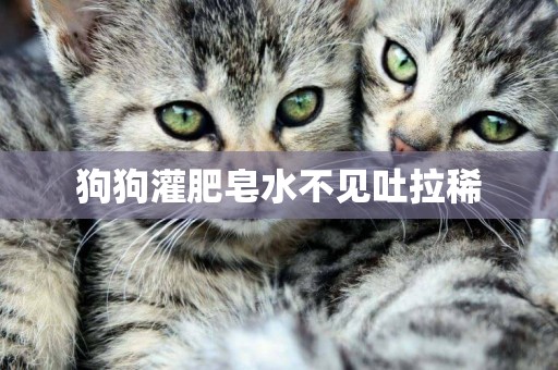 狗狗灌肥皂水不見吐拉稀