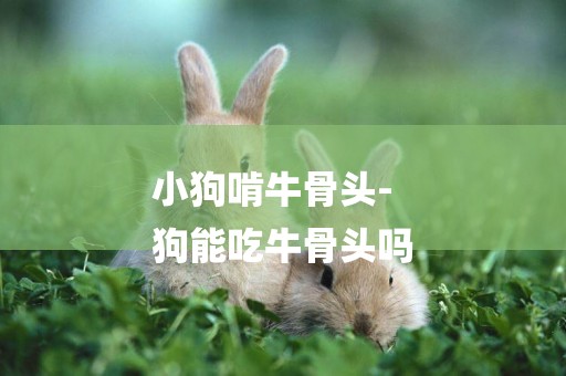 小狗啃牛骨頭-
狗能吃牛骨頭嗎