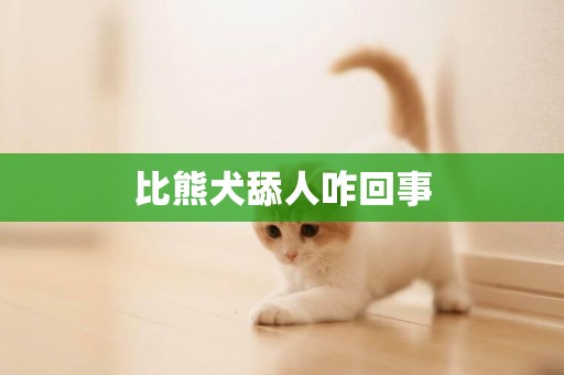 比熊犬舔人咋回事