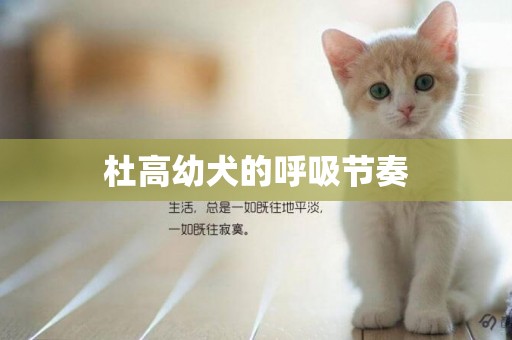 杜高幼犬的呼吸節奏
