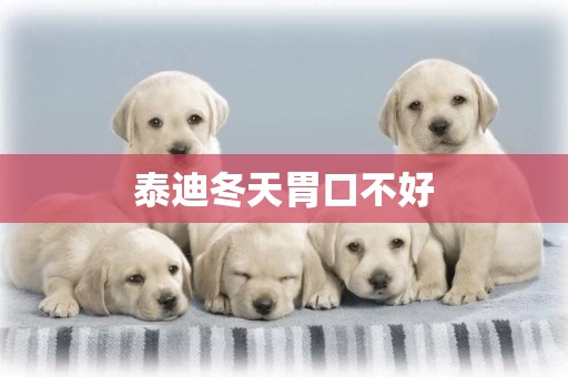 泰迪冬天胃口不好