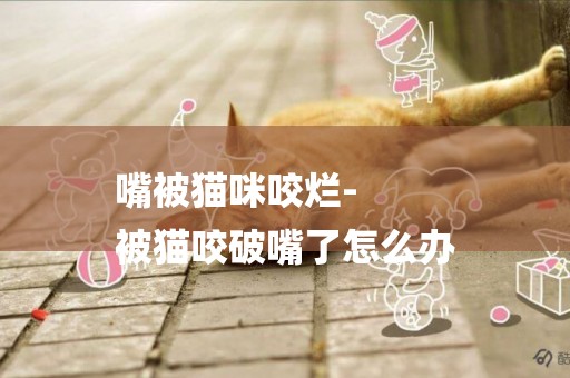 嘴被貓咪咬爛-
被貓咬破嘴了怎么辦
