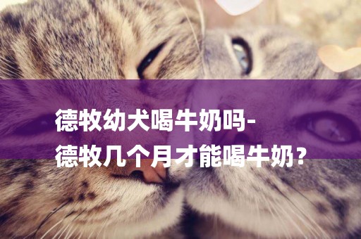 德牧幼犬喝牛奶嗎-
德牧幾個月才能喝牛奶？