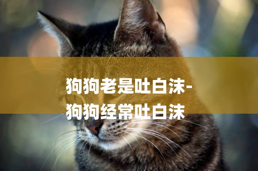 狗狗老是吐白沫-
狗狗經常吐白沫