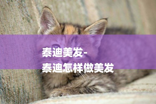泰迪美發-
泰迪怎樣做美發