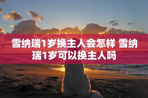雪納瑞1歲換主人會怎樣 雪納瑞1歲可以換主人嗎