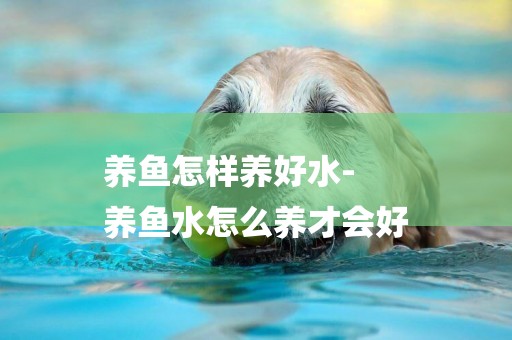 養魚怎樣養好水-
養魚水怎么養才會好
