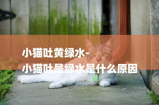 小貓吐黃綠水-
小貓吐是綠水是什么原因