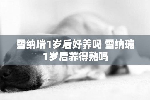 雪納瑞1歲后好養嗎 雪納瑞1歲后養得熟嗎