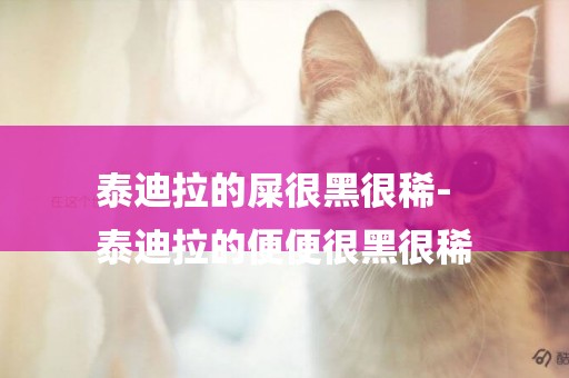 泰迪拉的屎很黑很稀-
泰迪拉的便便很黑很稀