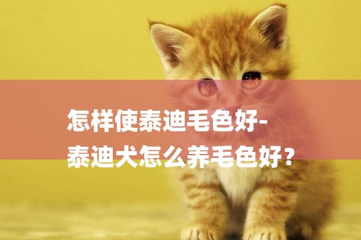 怎樣使泰迪毛色好-
泰迪犬怎么養毛色好？