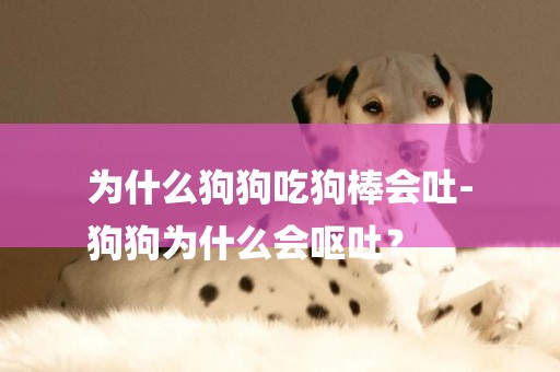 為什么狗狗吃狗棒會吐-
狗狗為什么會嘔吐？