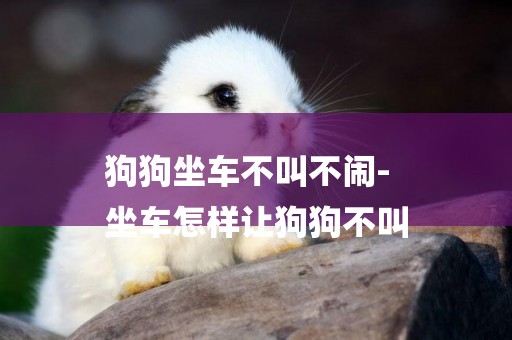 狗狗坐車不叫不鬧-
坐車怎樣讓狗狗不叫