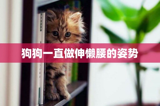 狗狗一直做伸懶腰的姿勢