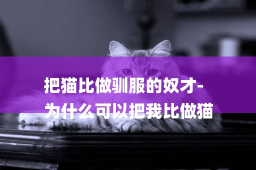 把貓比做馴服的奴才-
為什么可以把我比做貓