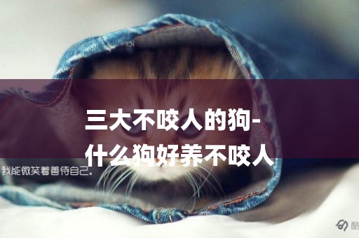 三大不咬人的狗-
什么狗好養不咬人