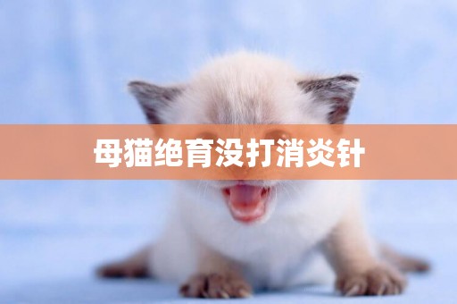 母貓絕育沒打消炎針