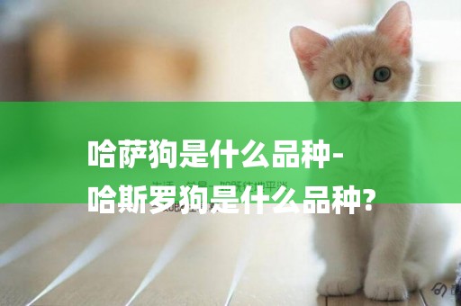 哈薩狗是什么品種-
哈斯羅狗是什么品種?