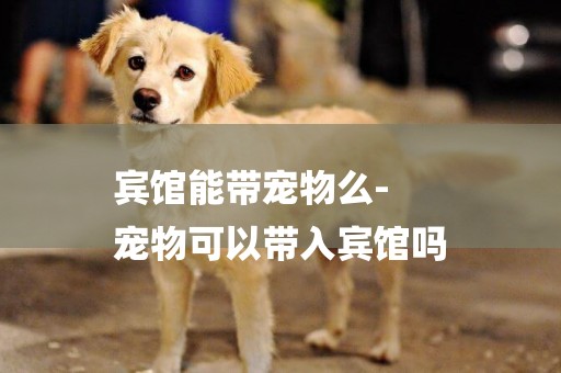 賓館能帶寵物么-
寵物可以帶入賓館嗎