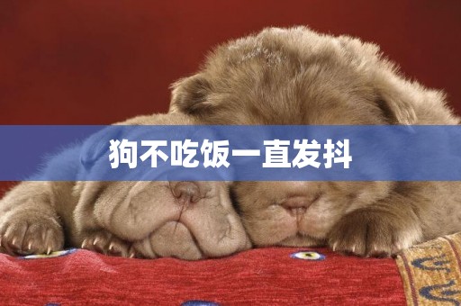 狗不吃飯一直發抖