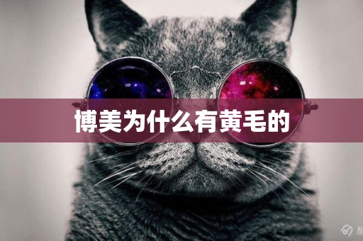 博美為什么有黃毛的