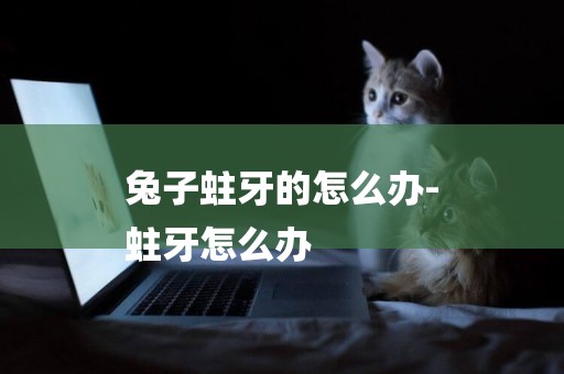 兔子蛀牙的怎么辦-
蛀牙怎么辦