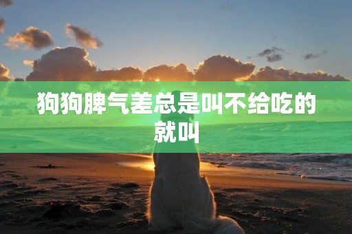 狗狗脾氣差總是叫不給吃的就叫