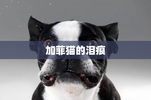 加菲貓的淚痕