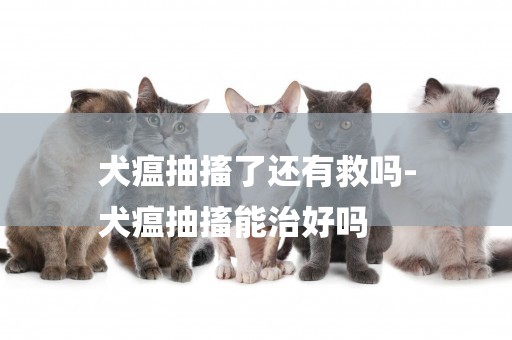 犬瘟抽搐了還有救嗎-
犬瘟抽搐能治好嗎