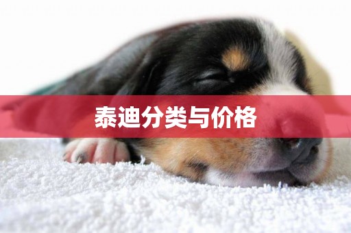 泰迪分類與價格