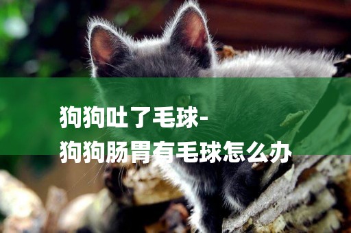 狗狗吐了毛球-
狗狗腸胃有毛球怎么辦