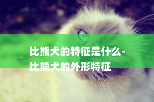 比熊犬的特征是什么-
比熊犬的外形特征