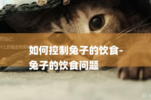 如何控制兔子的飲食-
兔子的飲食問題