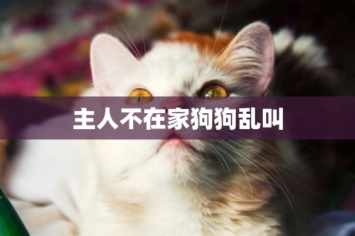 主人不在家狗狗亂叫
