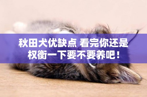 秋田犬優缺點 看完你還是權衡一下要不要養吧! 秋田犬優缺點 看完你還是權衡一下要不要養吧!