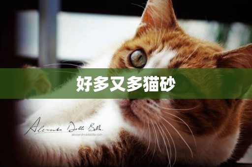好多又多貓砂
