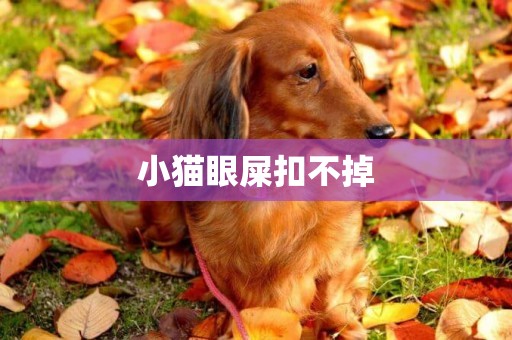 小貓眼屎扣不掉