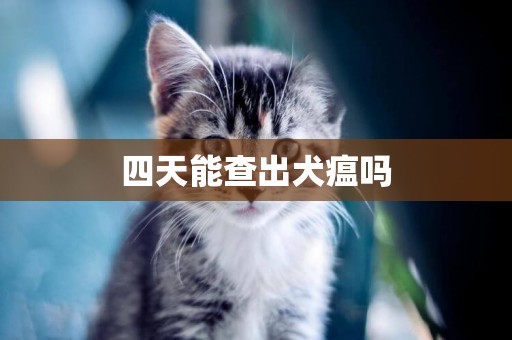 四天能查出犬瘟嗎
