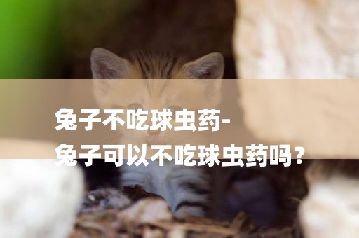 兔子不吃球蟲藥-
兔子可以不吃球蟲藥嗎？
