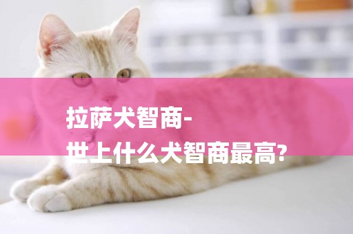 拉薩犬智商-
世上什么犬智商最高?
