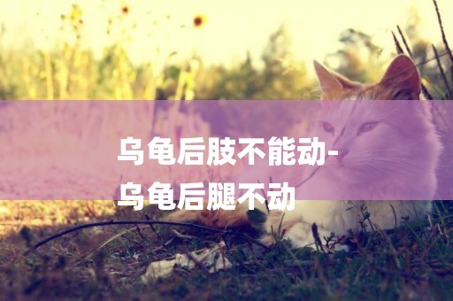 烏龜后肢不能動-
烏龜后腿不動