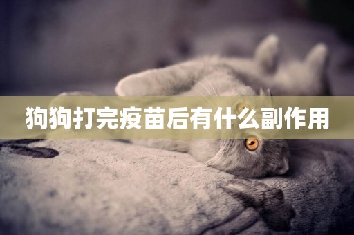 狗狗打完疫苗后有什么副作用